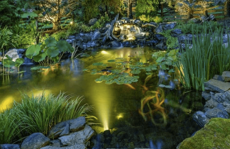 Best Underwater Pond Lights image
