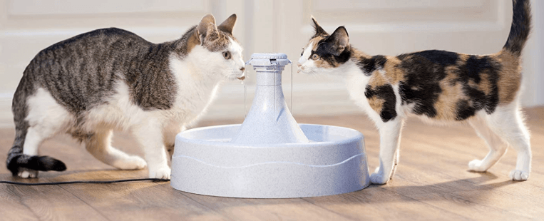 Best Cat Water Fountain image