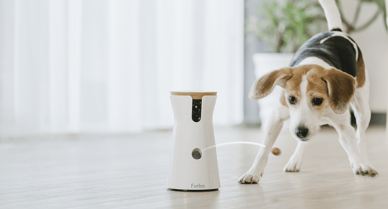 Best Pet Cameras & Monitors image