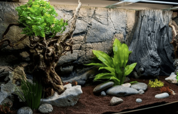 Лучшие гроты для аквариумов image