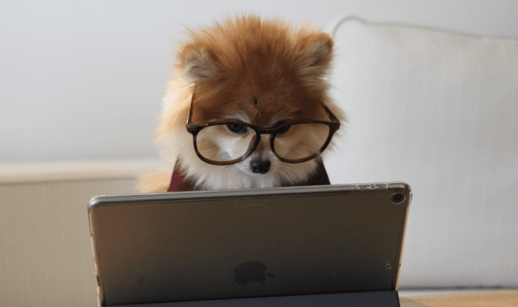 How to Build a Blog From Scratch image