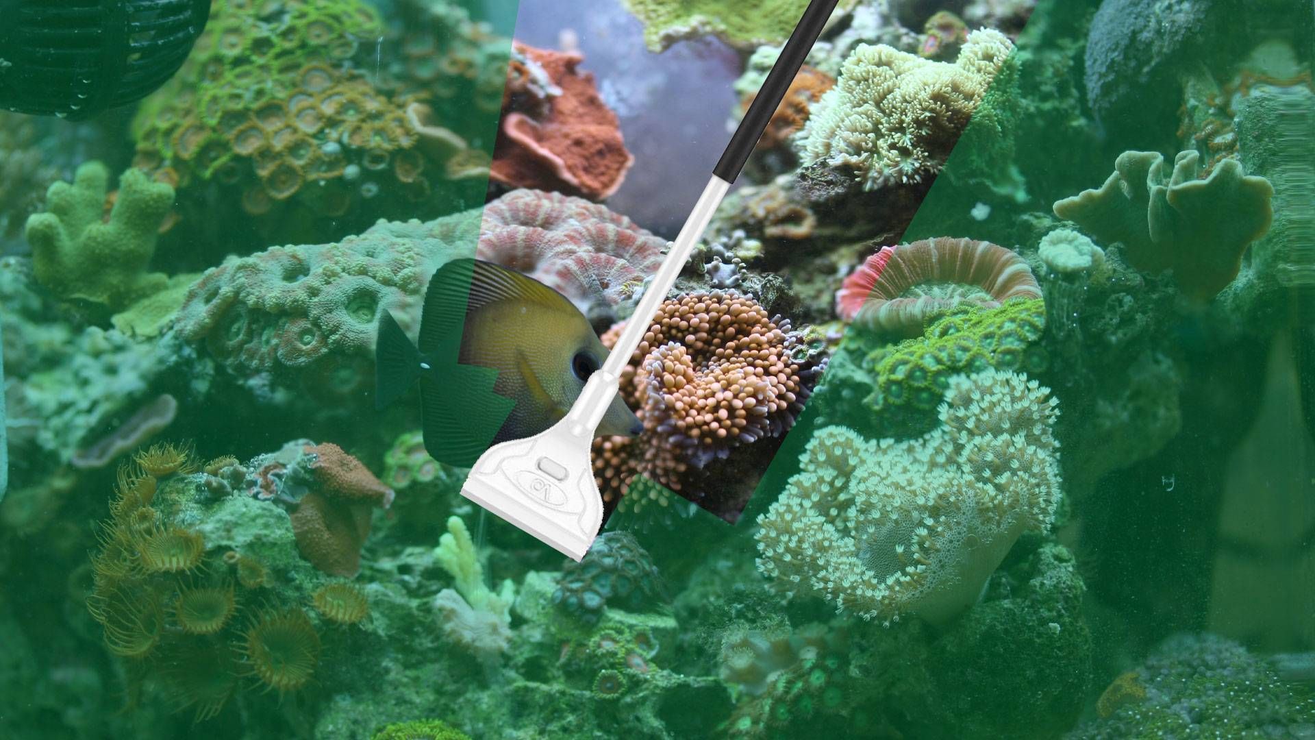 The Best Aquarium Algae Scrapers preview