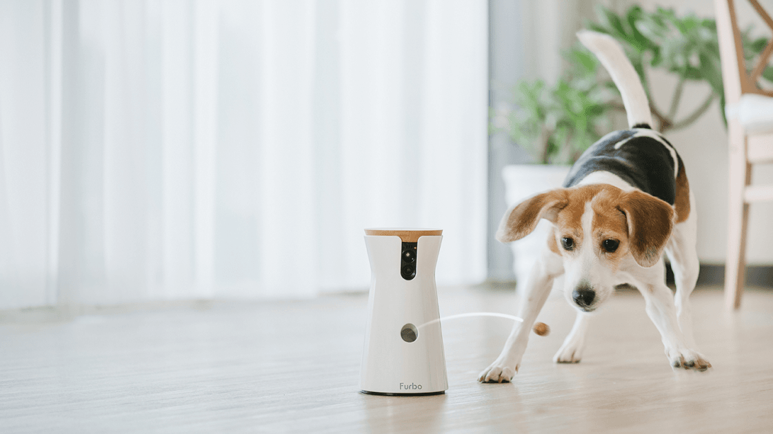 The Best Dog Cameras with Treat Dispensers preview