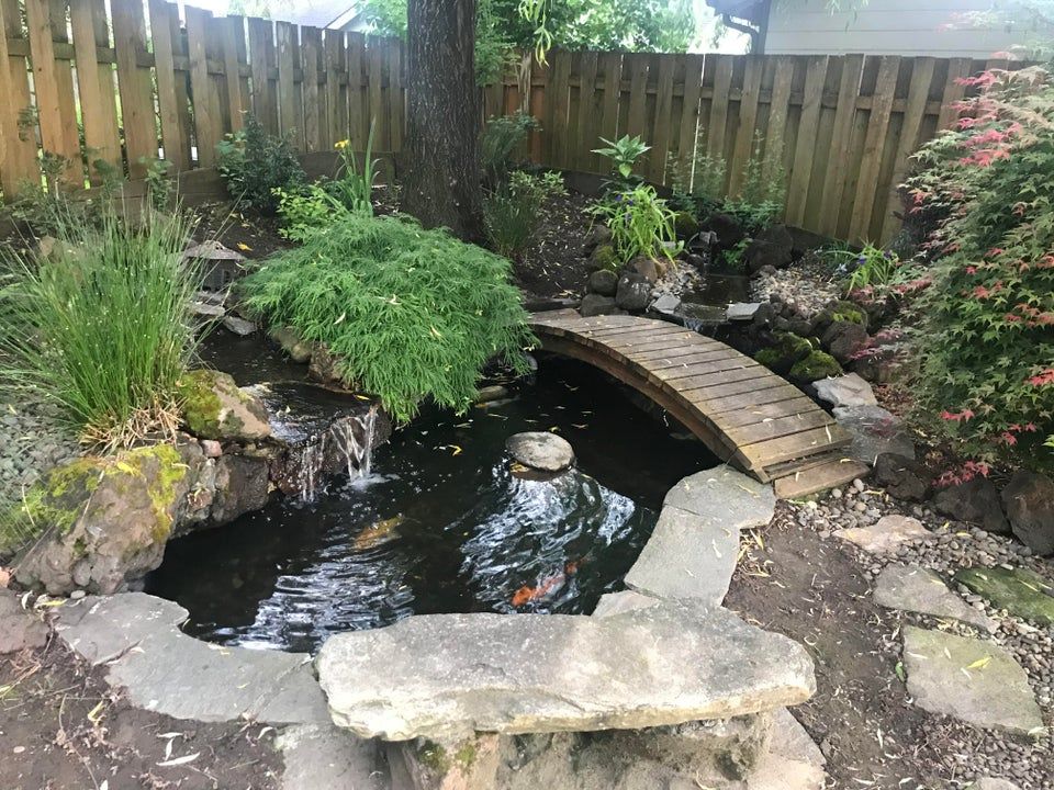 The Starter Pond image