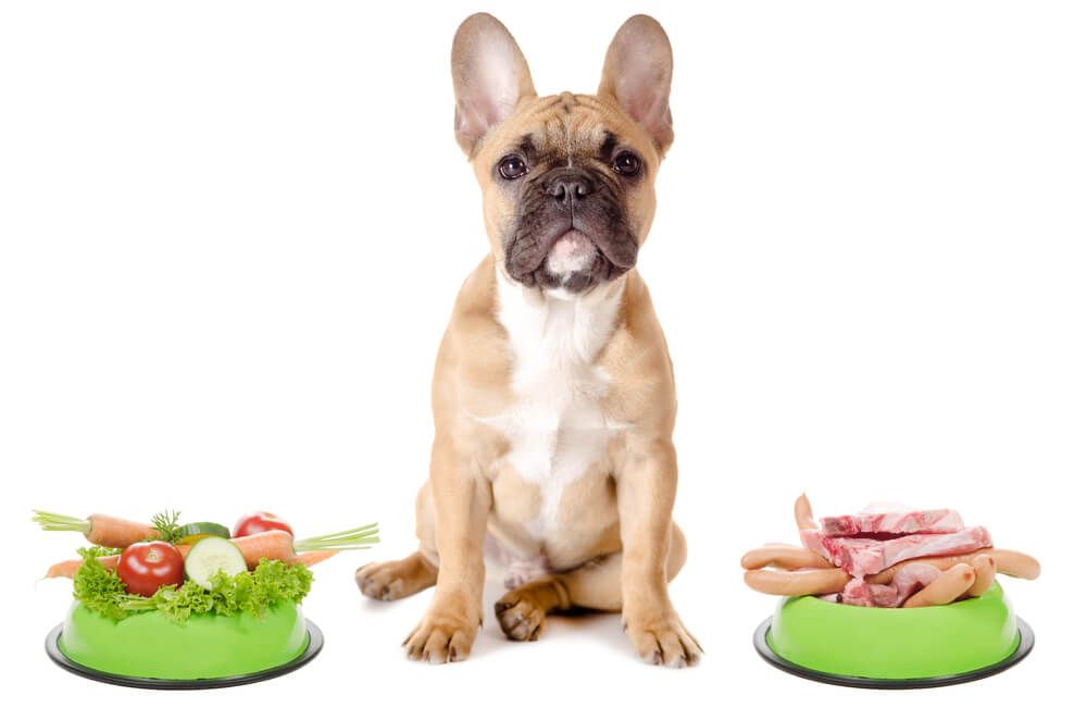 What French Bulldogs Can't Eat? preview