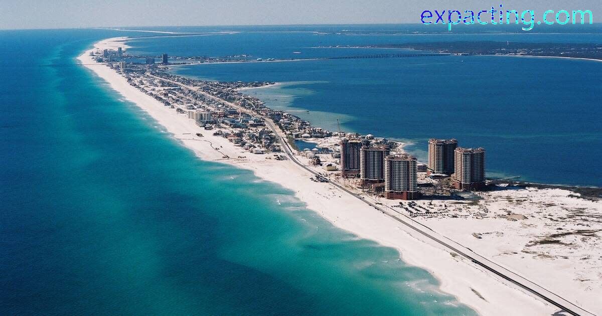 Which State Is Better to Live In Florida or Alabama? image