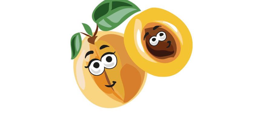 Загадки про абрикос image