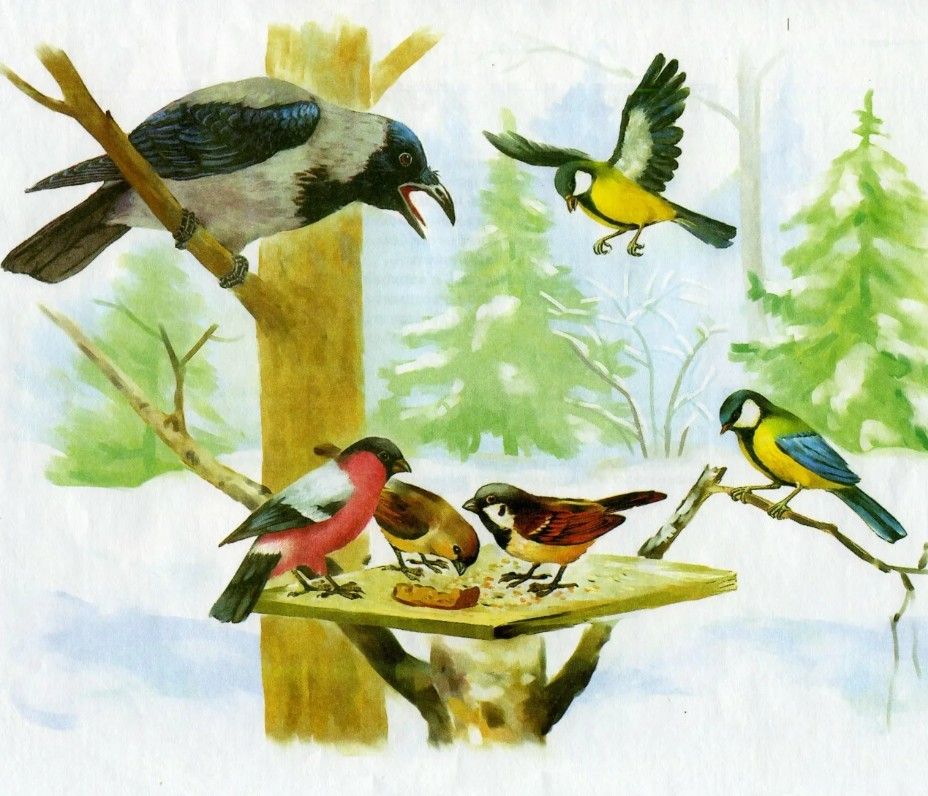 Загадки о зимующих птицах image